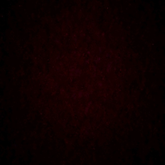 Meet your Posher, Ena - Picture 1 of 1